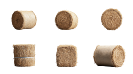 A collection of rolled hay bales displayed in different orientations highlights their unique shapes and natural textures, illustrating agricultural life and rural aesthetics