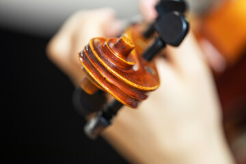 left hand position on the violin. Correct hand and finger position on a musical instrument