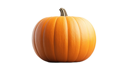 This vibrant orange pumpkin is beautifully shaped and has a smooth surface, making it an ideal choice for fall decorations or seasonal celebrations during autumn