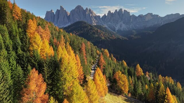 Fly over road in the mountains surrounded by autumn yellow and orange trees. Autumn mountain landscape. Scenic view of the Italian Alps in the fall. Near Santa Magdalena, Dolomites, Italy