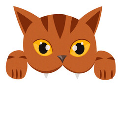 Orange tabby kitten bitting