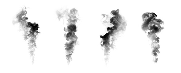 Set Black and white smoke isolated on white background.