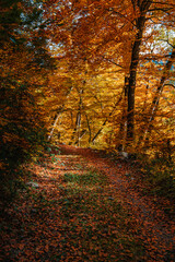 Herbstlandschaft