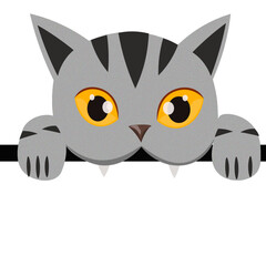 Grey cat bitting