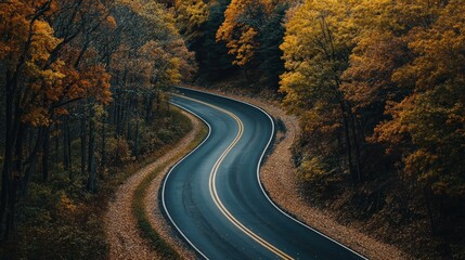 Naklejka premium Winding Asphalt Road Through Autumn Forest