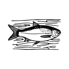 Hilsa, hilsha, ilisha design, labeled line and fill art a vector silhouette illustration.