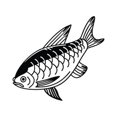 Hilsa, hilsha, ilisha design, labeled line and fill art a vector silhouette illustration.