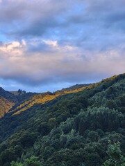 Carpathian Mountains