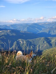 Carpathian Mountains
