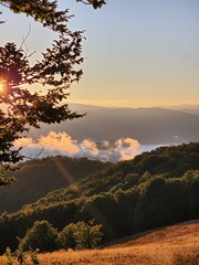 Carpathian Mountains