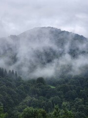Carpathian Mountains