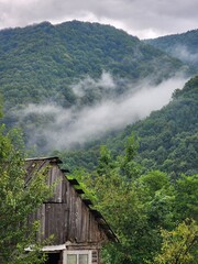 Carpathian Mountains