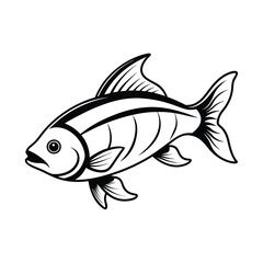 rui, rohu fish vector design, labeled line art and linocut silhouette illustration.