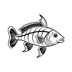 rui, rohu fish vector design, labeled line art and linocut silhouette illustration.