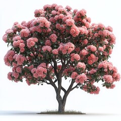 Blooming Elegance: Isolated Bush of Pink Roses on a White Background