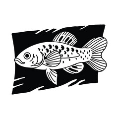 rui, rohu fish vector design, labeled line and fill art silhouette illustration.