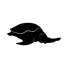 minimalist turtle icon illustration