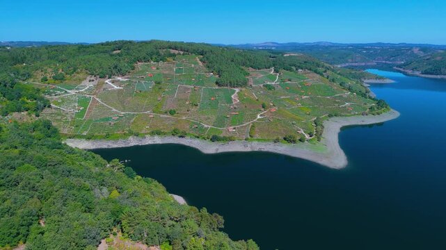Vineyard landscape around the Belesar reservoir. Aerial view from a drone. Province of Lugo. Galicia. Spain. Europe