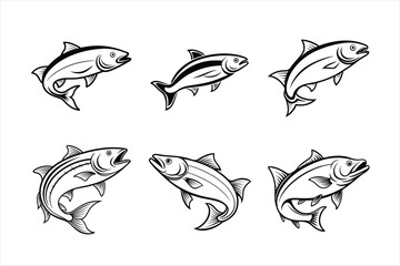 Obraz premium salmon fish vector design, labeled line art and linocut silhouette illustration.