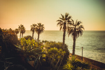 View on ocean promenade in Jadim do Mar, Madeira, Portugal, during sunset