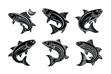 salmon fish vector design, labeled line art and linocut silhouette illustration.