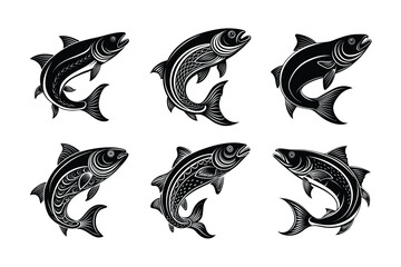 salmon fish vector design, labeled line art and linocut silhouette illustration.