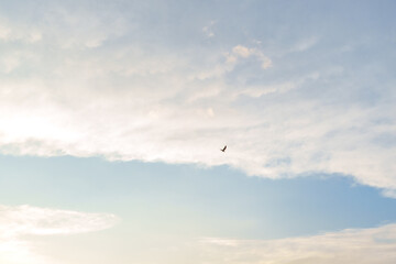 A Bird's-Eye View of Serenity