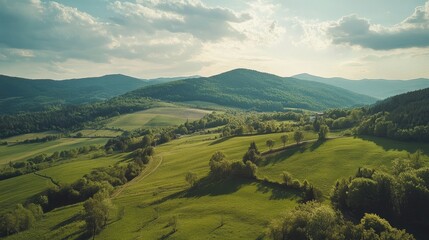 Evaluate the potential of investing in renewable energy 