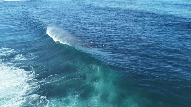 SAN JUAN 9