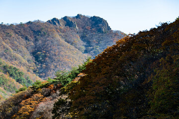 mountain in autumn