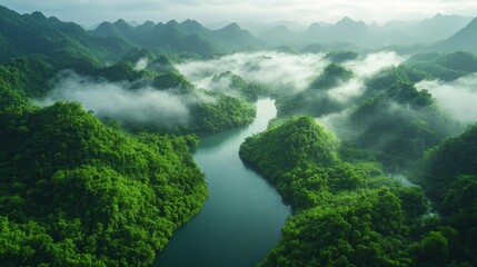 Lush Jungle Landscape with River and Fog. Generative AI