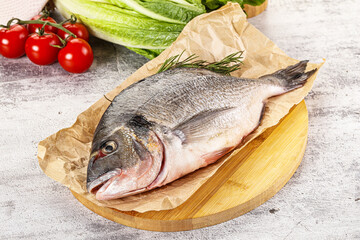 Raw dorada fish served rosemary