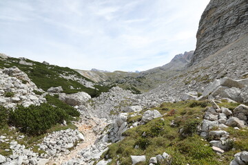 Hiking trail in the alps