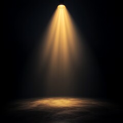 A single spotlight illuminates a dark stage with a spotlight beam shining on the floor.