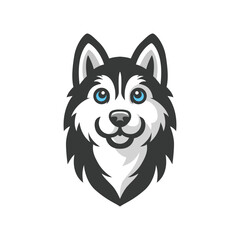 a husky dog with blue eyes on a white background