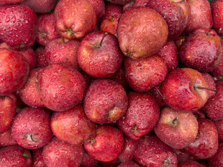 fruit background with red apples with water drops