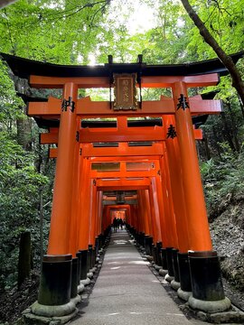 Fushimi Tinari Taisha Kyoto Japan Gates