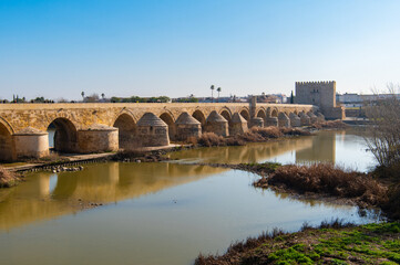 Scenic view of the historic Puente Romano and La Mezquita Cathedral in the background in Cordoba,...