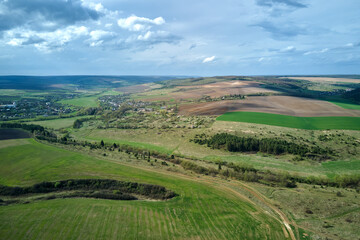 Agricultural cultivated field in summer season with growing crops. Green farm fields. Farming and agriculture industry