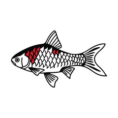Red mullet fish design, labeled line and fill art vector illustration.