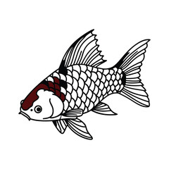 Red mullet fish design, labeled line and fill art vector illustration.