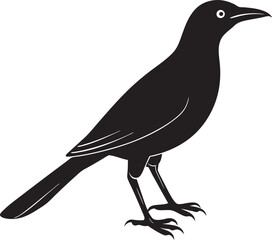 crow on a white background