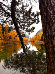 Palpuognasee im Herbst