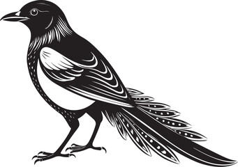 Obraz premium hispaniolan trogon bird vector illustration