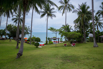 A tropical seaside landscape with tall palm trees, green grass, and red lounge chairs overlooking a calm blue sea. An orange umbrella and small pavilion enhance the relaxing ambiance.