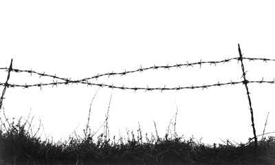 barbed wire fence