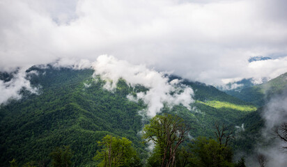 a misty mountain landscape with lush greenery, where low-hanging clouds intertwine with the dense forest on the slopes, creating a serene and mystical atmosphere