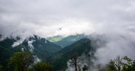 A misty mountain landscape unfolds with luscious greenery and towering trees, as low clouds over the snow-tipped peaks in the background, presenting a serene natural spectacle