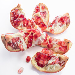 grenade, Punica granatum