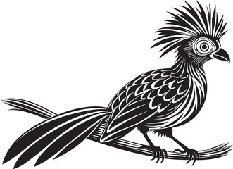 Obraz premium hoatzin vector bird illustration design transparent background